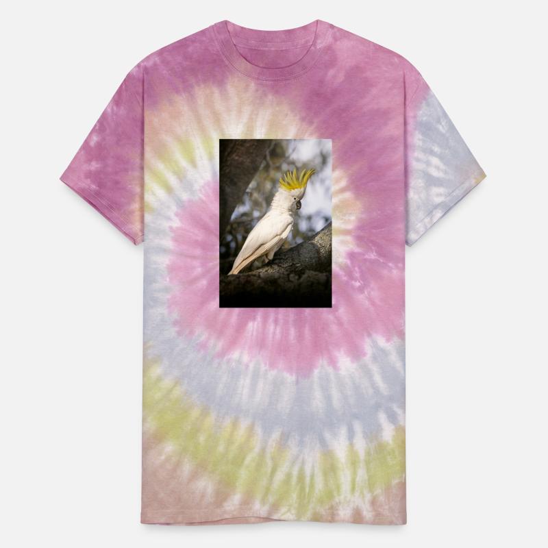 Sulphur-crested cockatoo