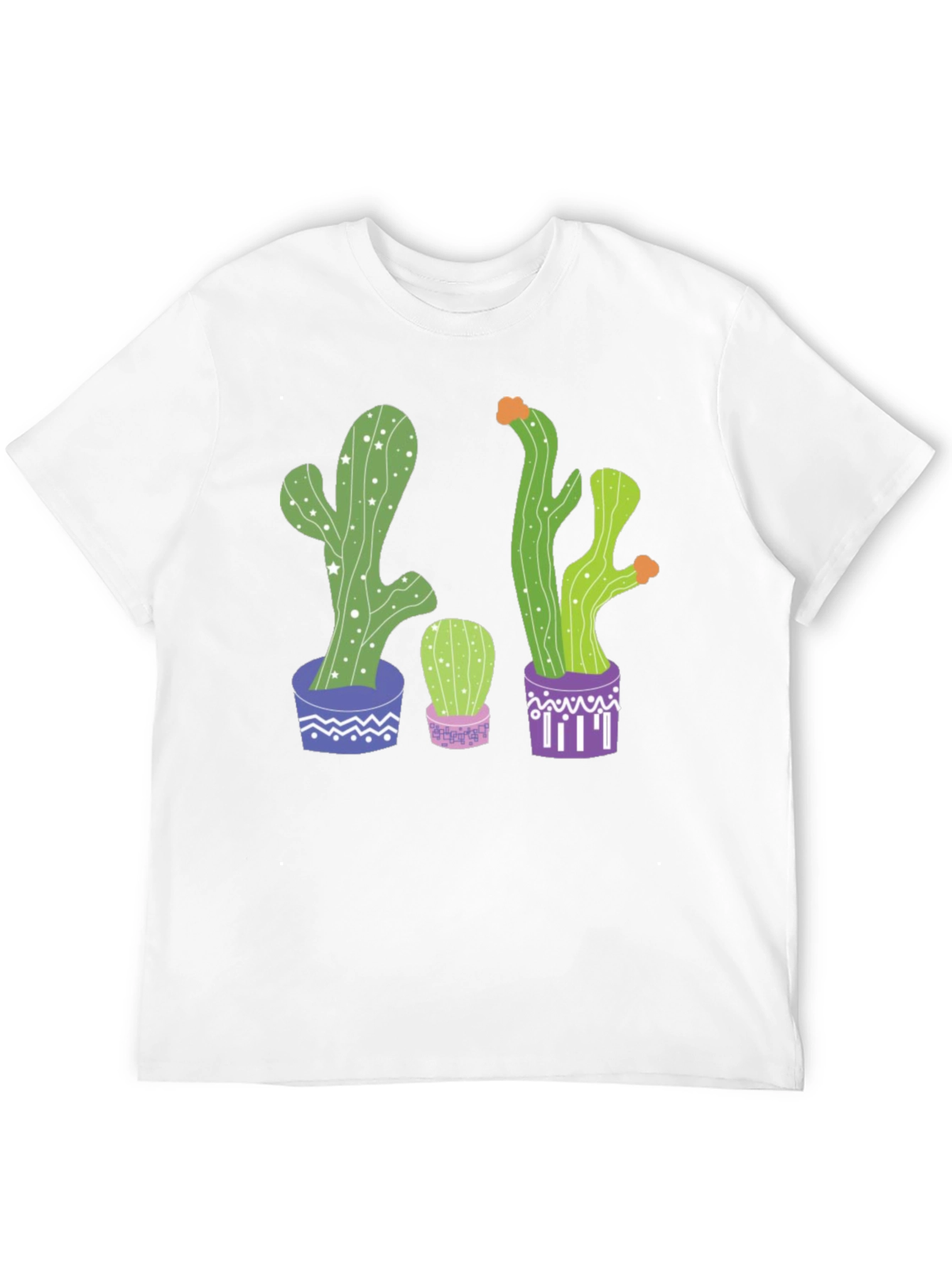 Cactus Print Graphic Tee - Potted Plant Shirt