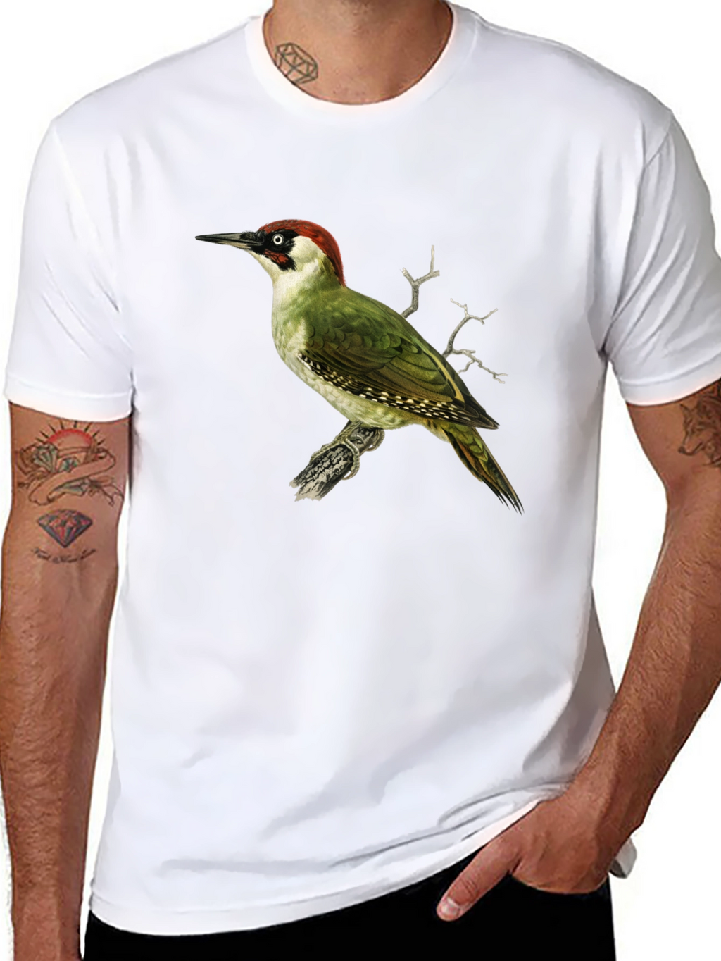 Green Woodpecker Graphic Tee - Black