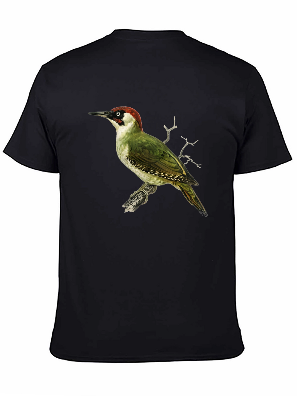 Green Woodpecker Graphic Tee - Black