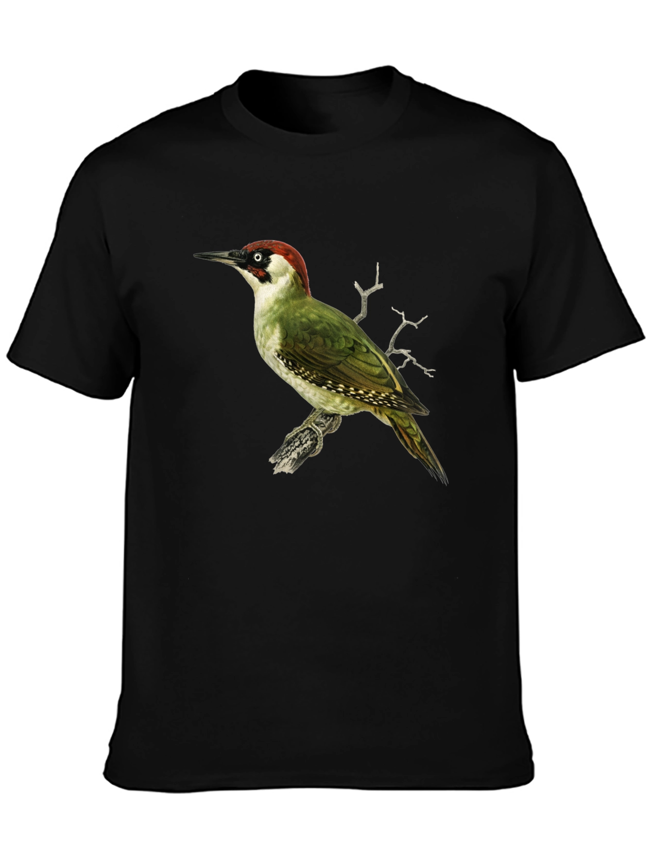 Green Woodpecker Graphic Tee - Black