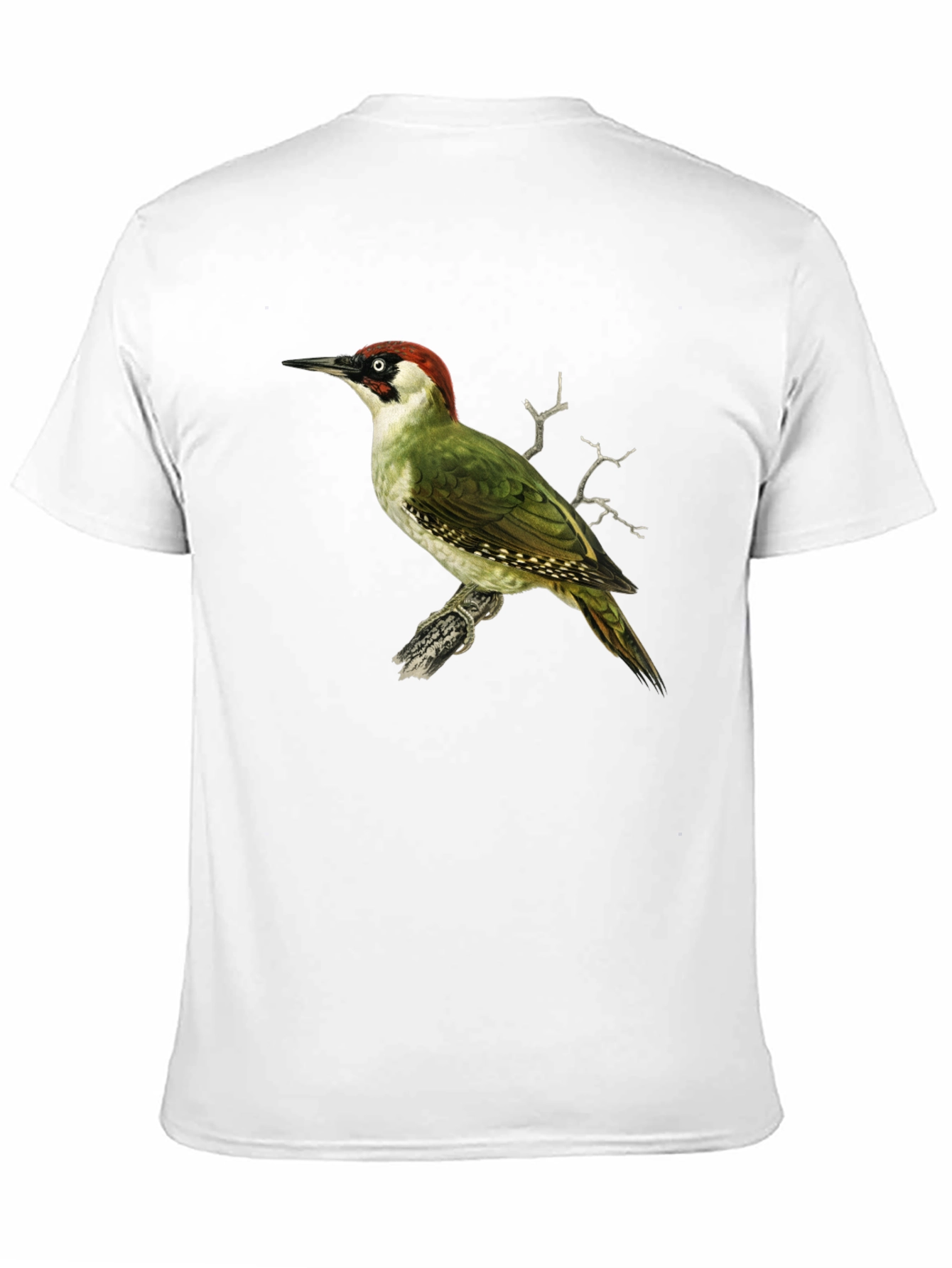 Green Woodpecker Graphic Tee - Black