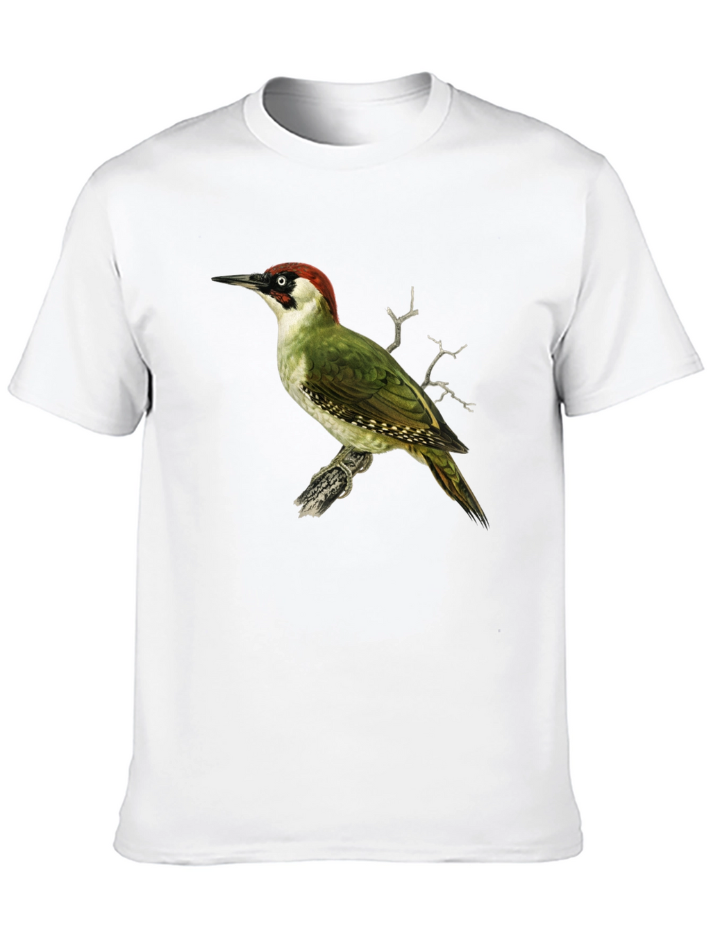 Green Woodpecker Graphic Tee - Black