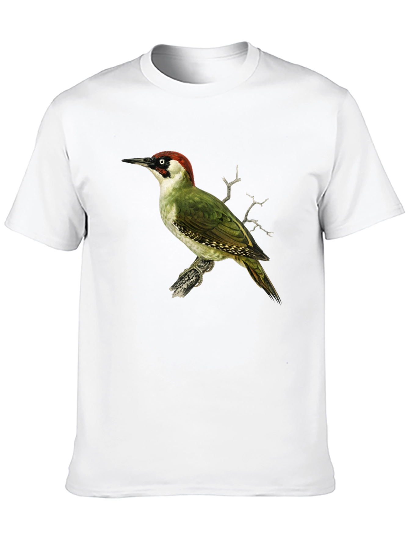 Green Woodpecker Graphic Tee - Black