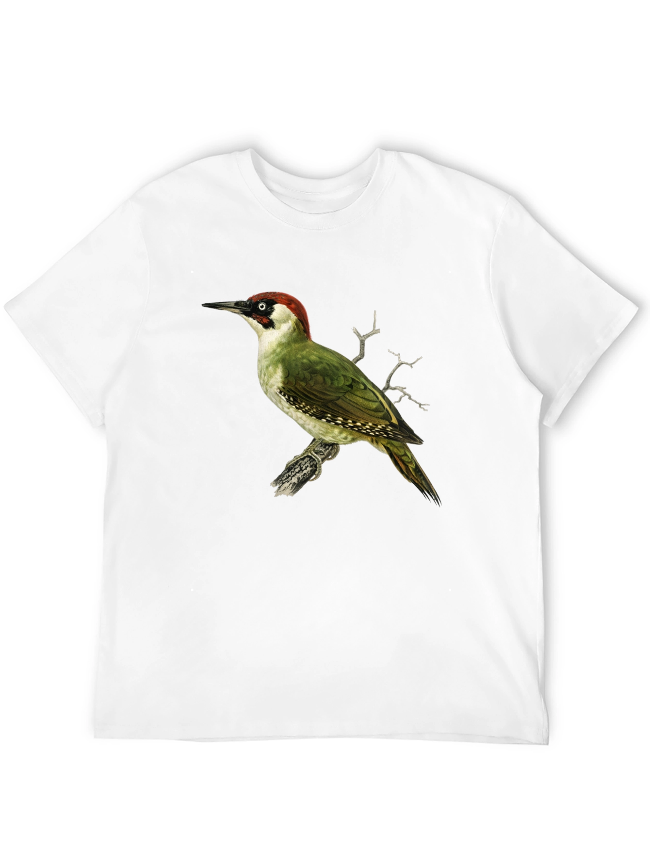 Green Woodpecker Graphic Tee - Black
