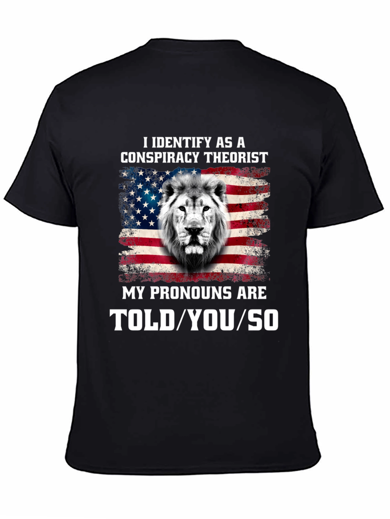 Conspiracy Theorist Pronoun T-Shirt
