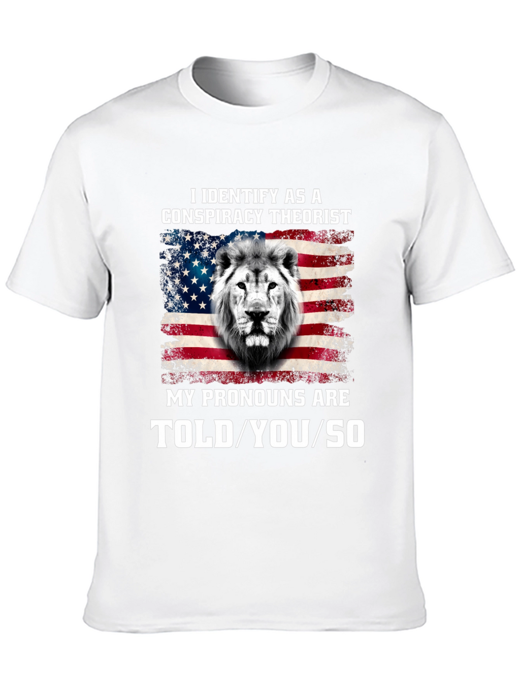 Conspiracy Theorist Pronoun T-Shirt