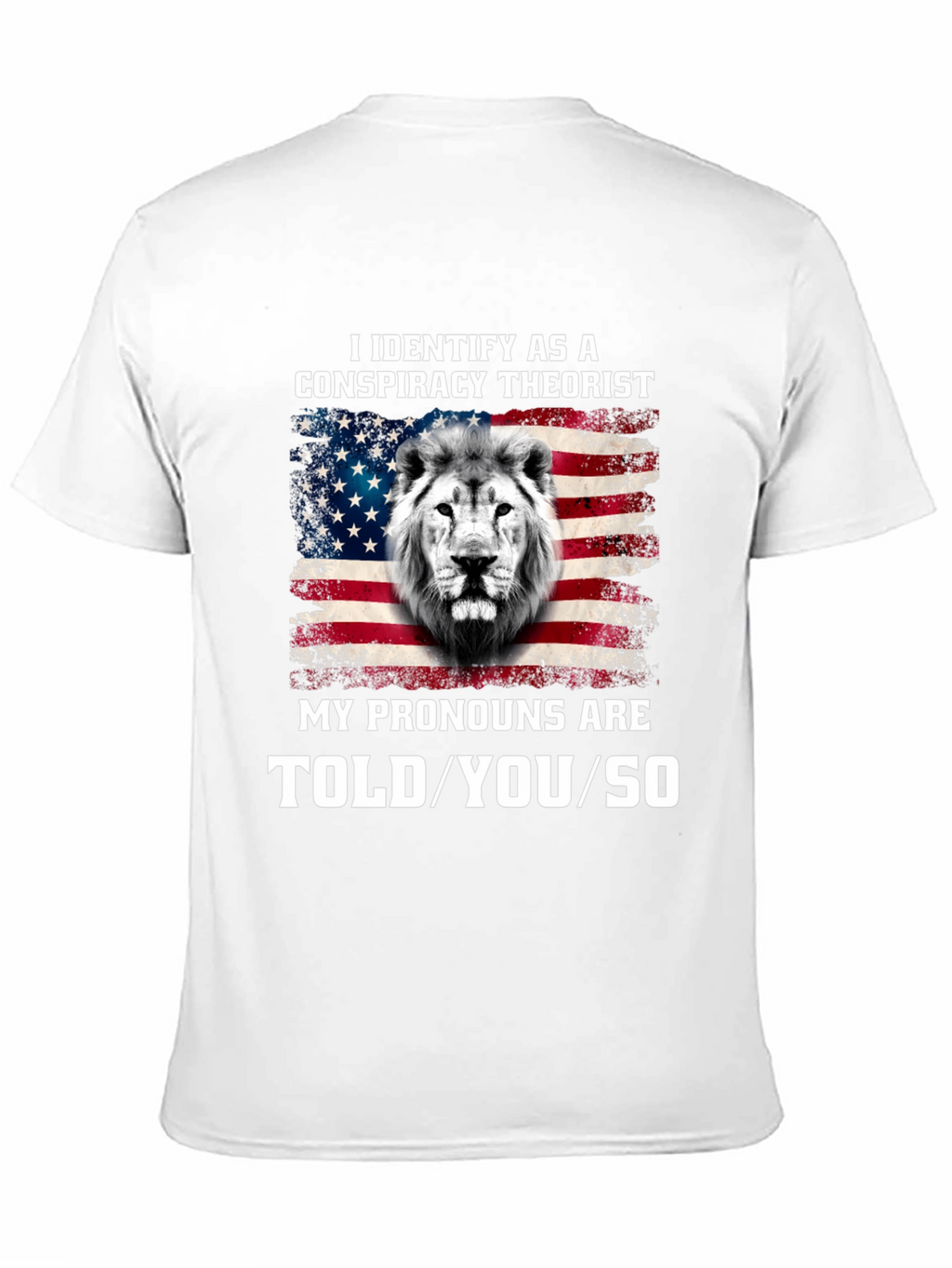 Conspiracy Theorist Pronoun T-Shirt