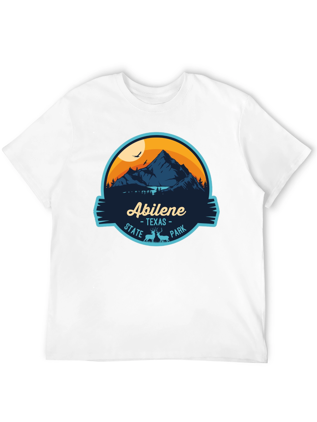 Abilene Texas State Park Black Graphic Tee