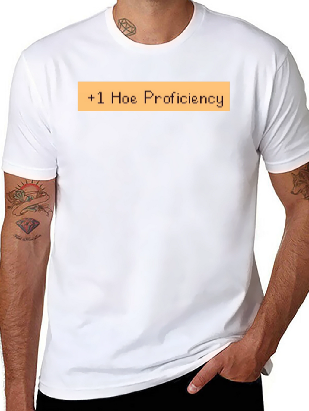 +1 Hoe Proficiency Funny Graphic T-Shirt