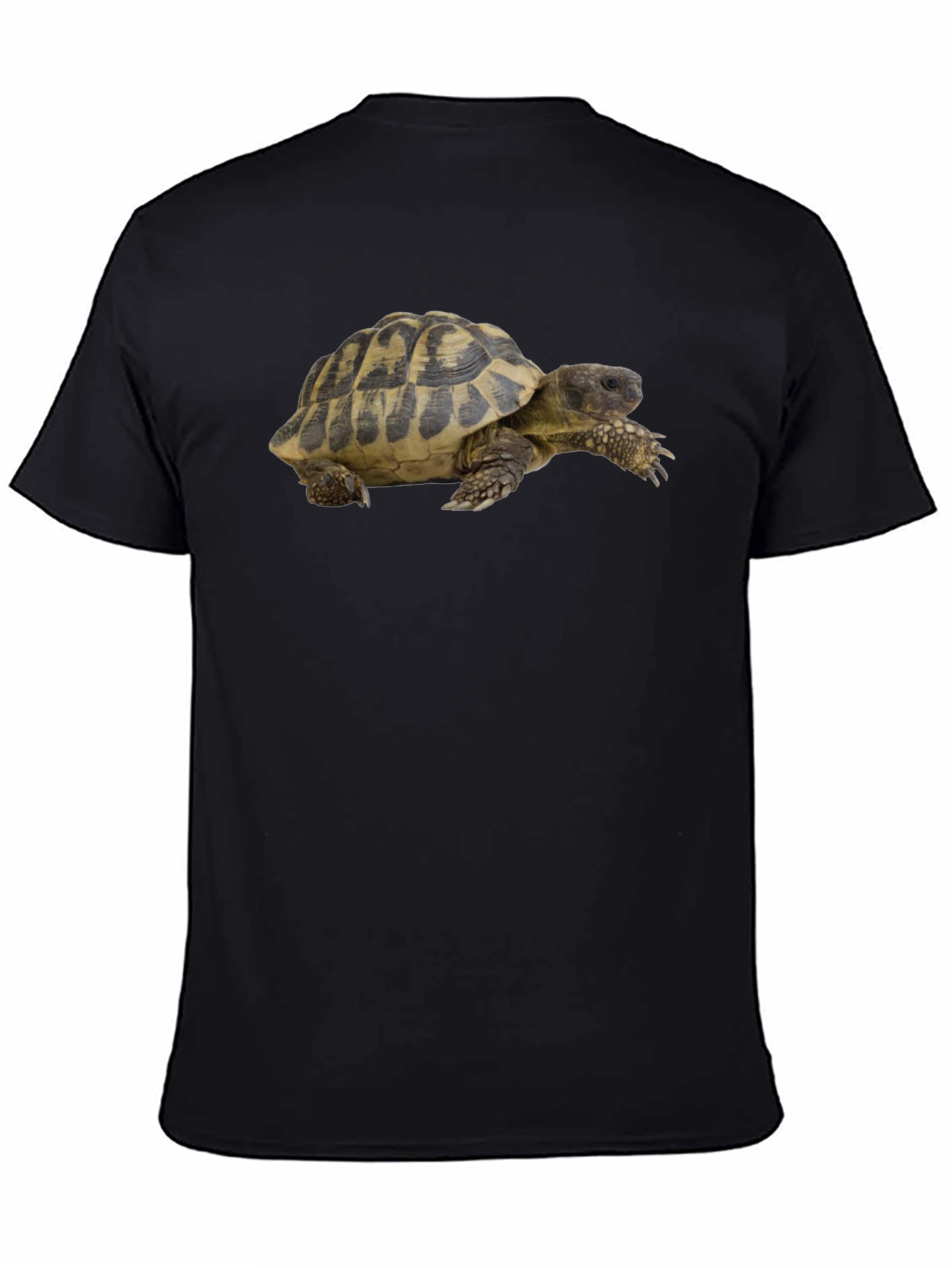 Turtle Graphic T-Shirt - Cool Animal Tee
