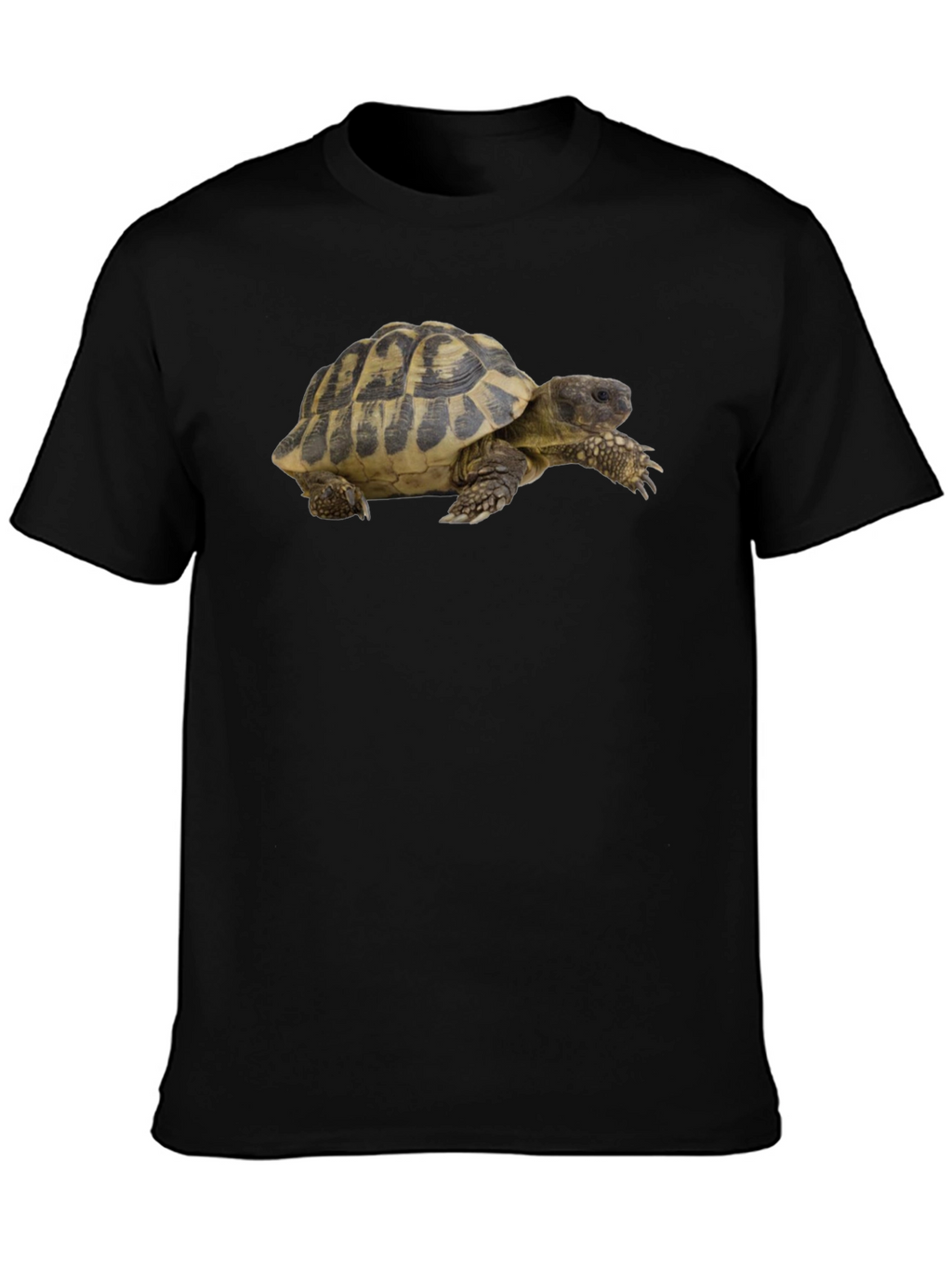 Turtle Graphic T-Shirt - Cool Animal Tee