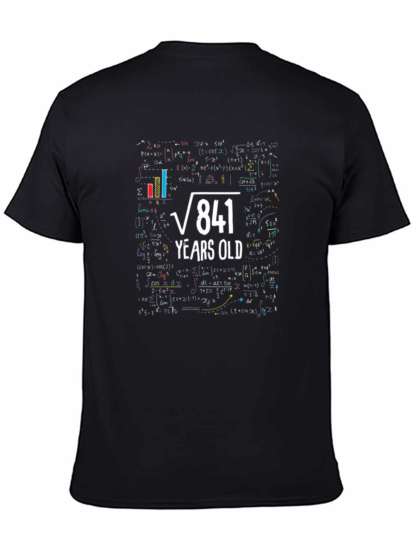 29th Birthday T-Shirt: Square Root of 841 Years Old Math Tee