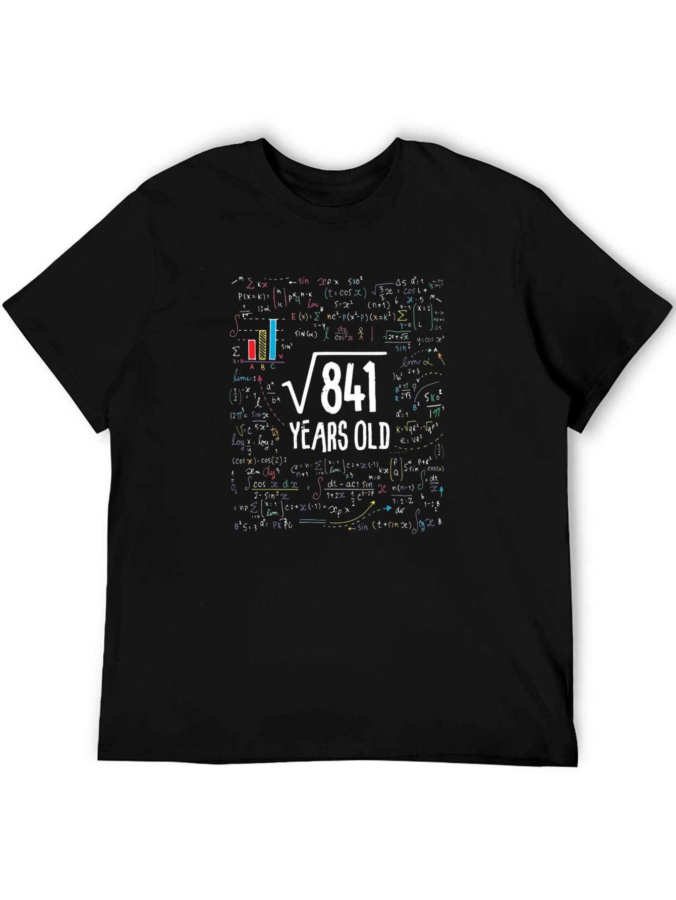 29th Birthday T-Shirt: Square Root of 841 Years Old Math Tee