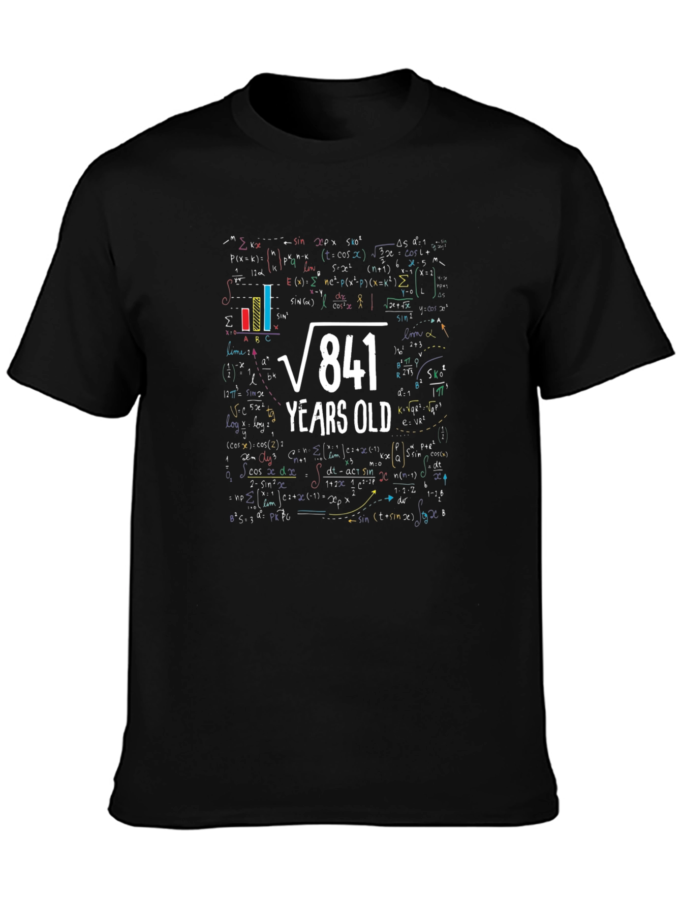 29th Birthday T-Shirt: Square Root of 841 Years Old Math Tee