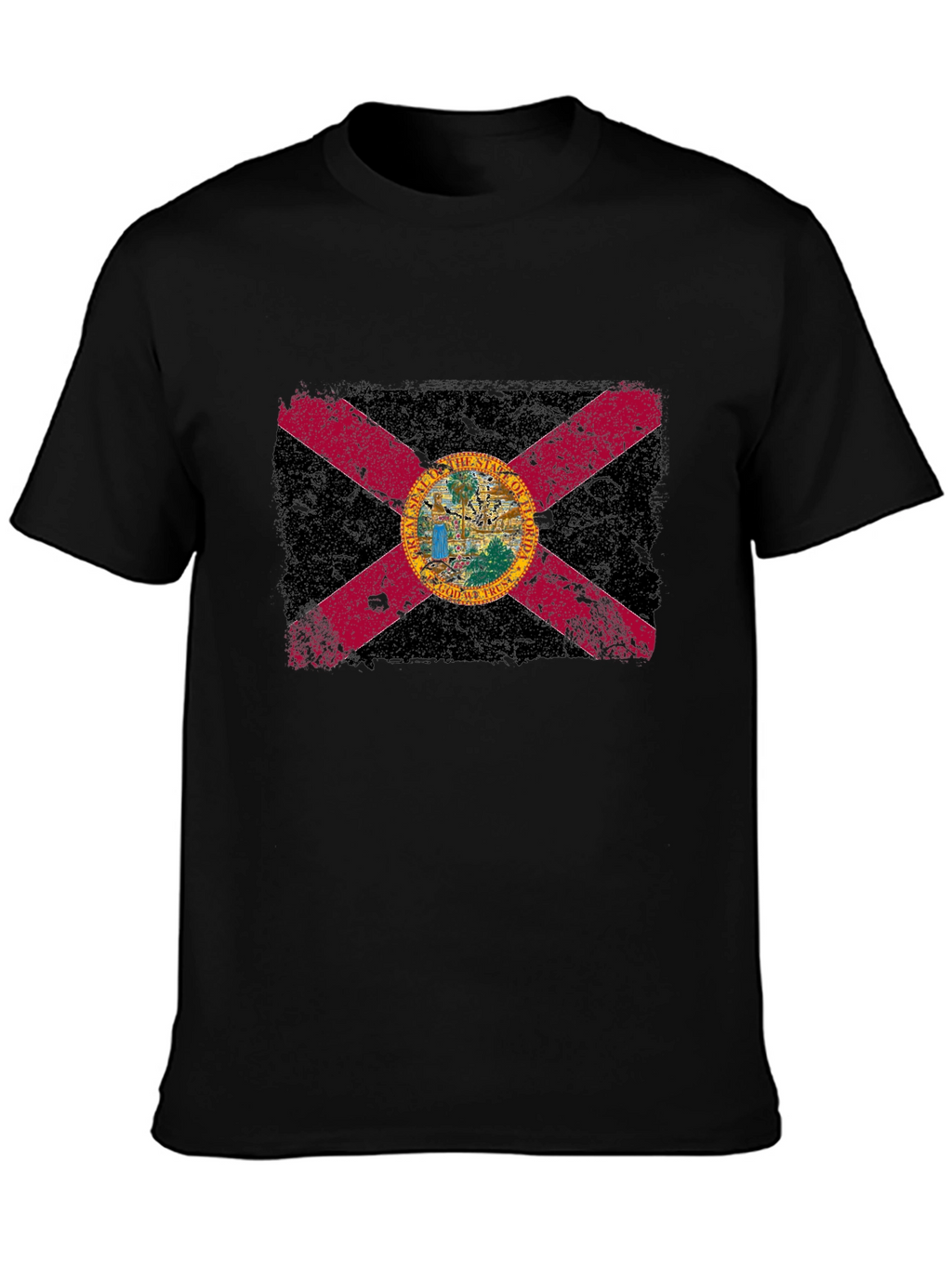 Florida Flag Graphic T-Shirt