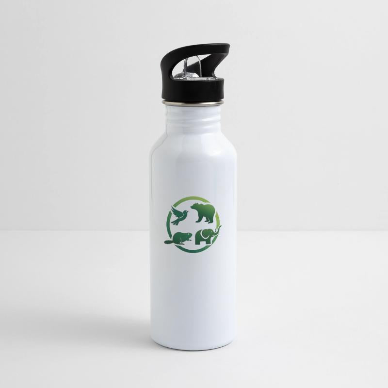 a bird, a bear, a beaver, and an elephant