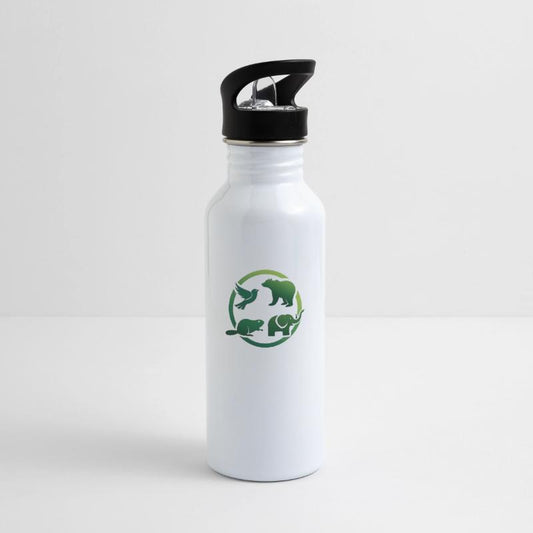 a bird, a bear, a beaver, and an elephant