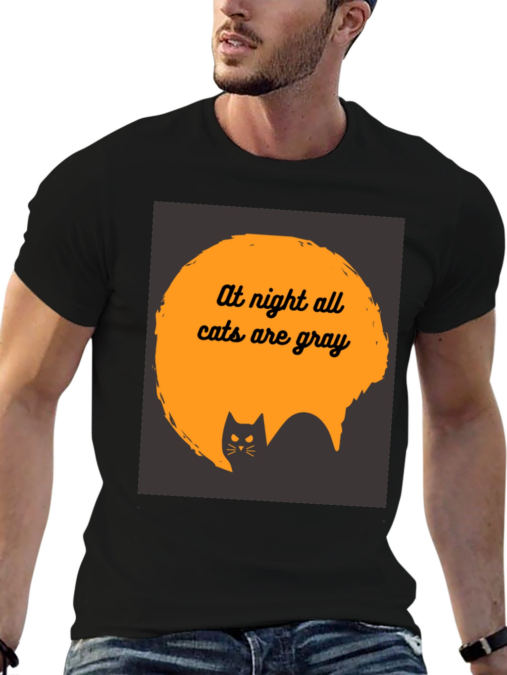 At Night All Cats are Gray T-Shirt
