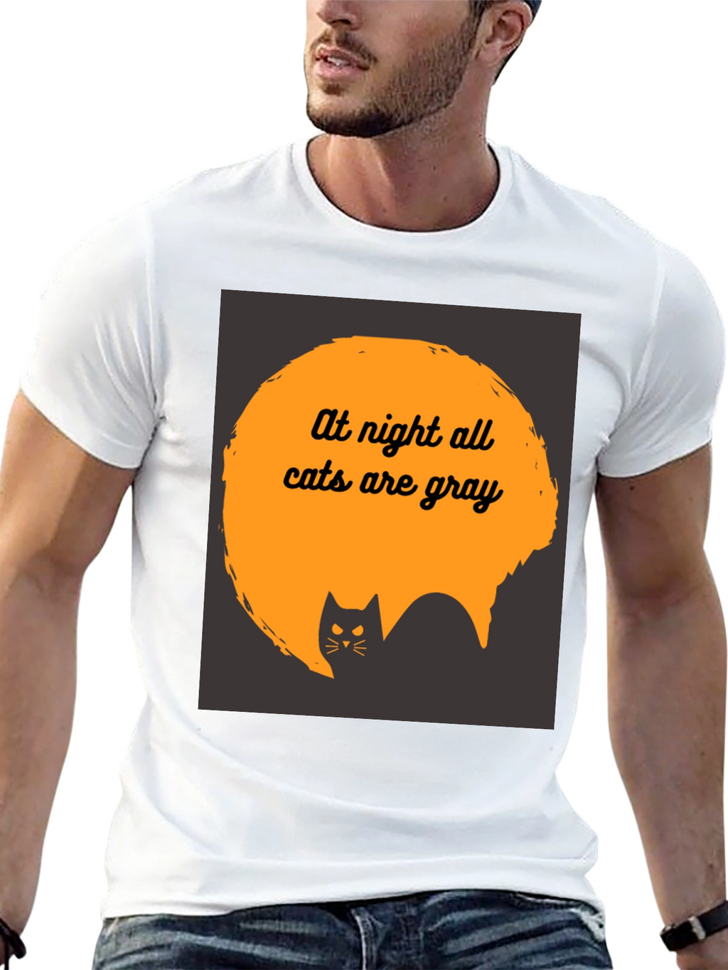 At Night All Cats are Gray T-Shirt