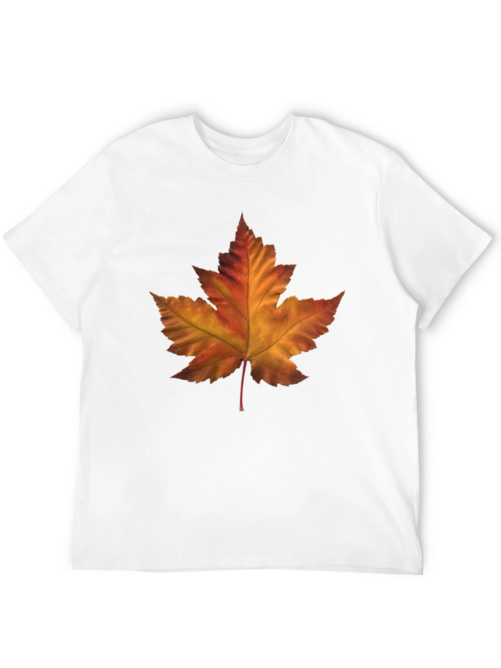 Autumn Maple Leaf Graphic T-Shirt - Stylish Fall Fashion