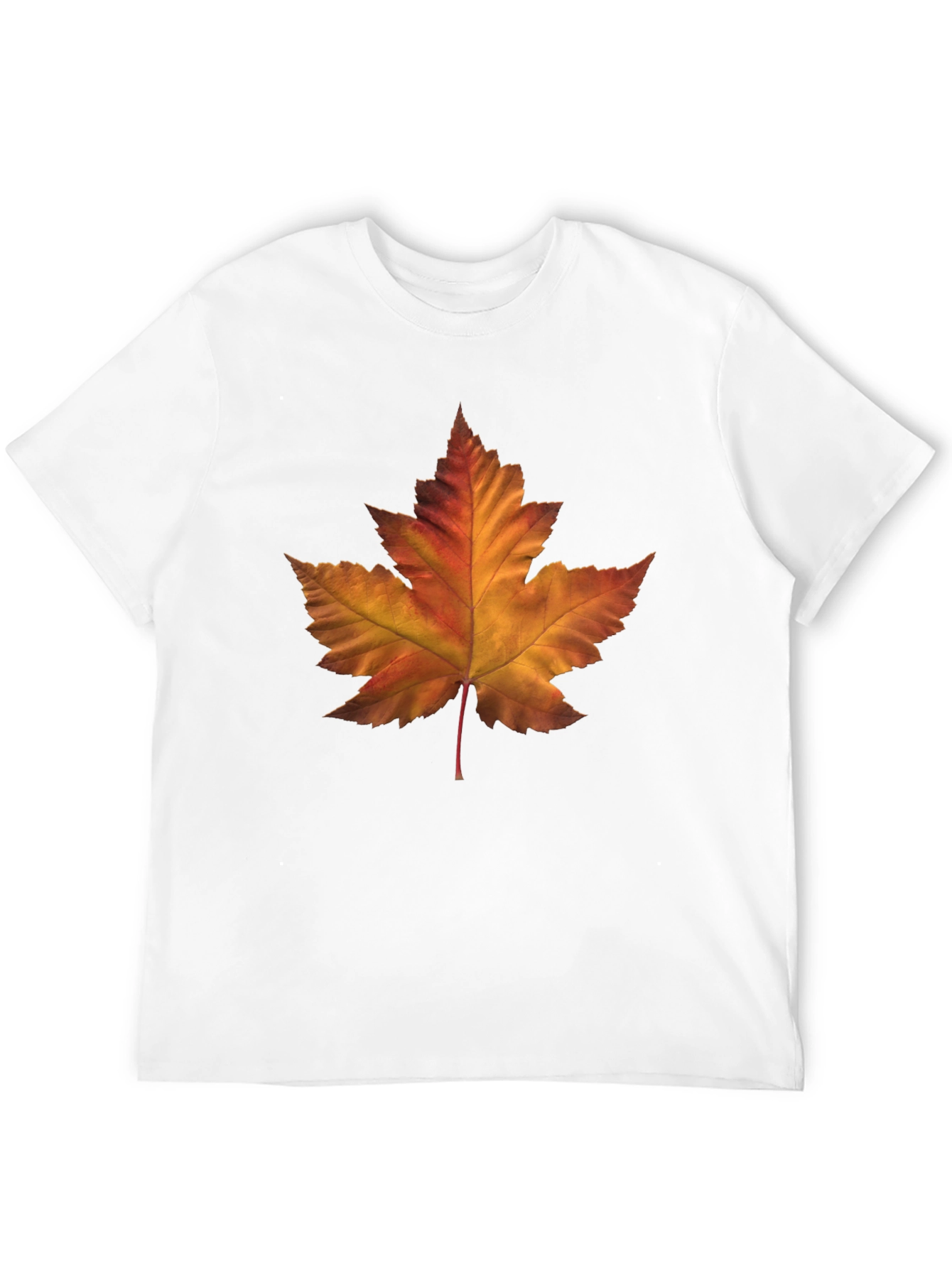 Autumn Maple Leaf Graphic T-Shirt - Stylish Fall Fashion