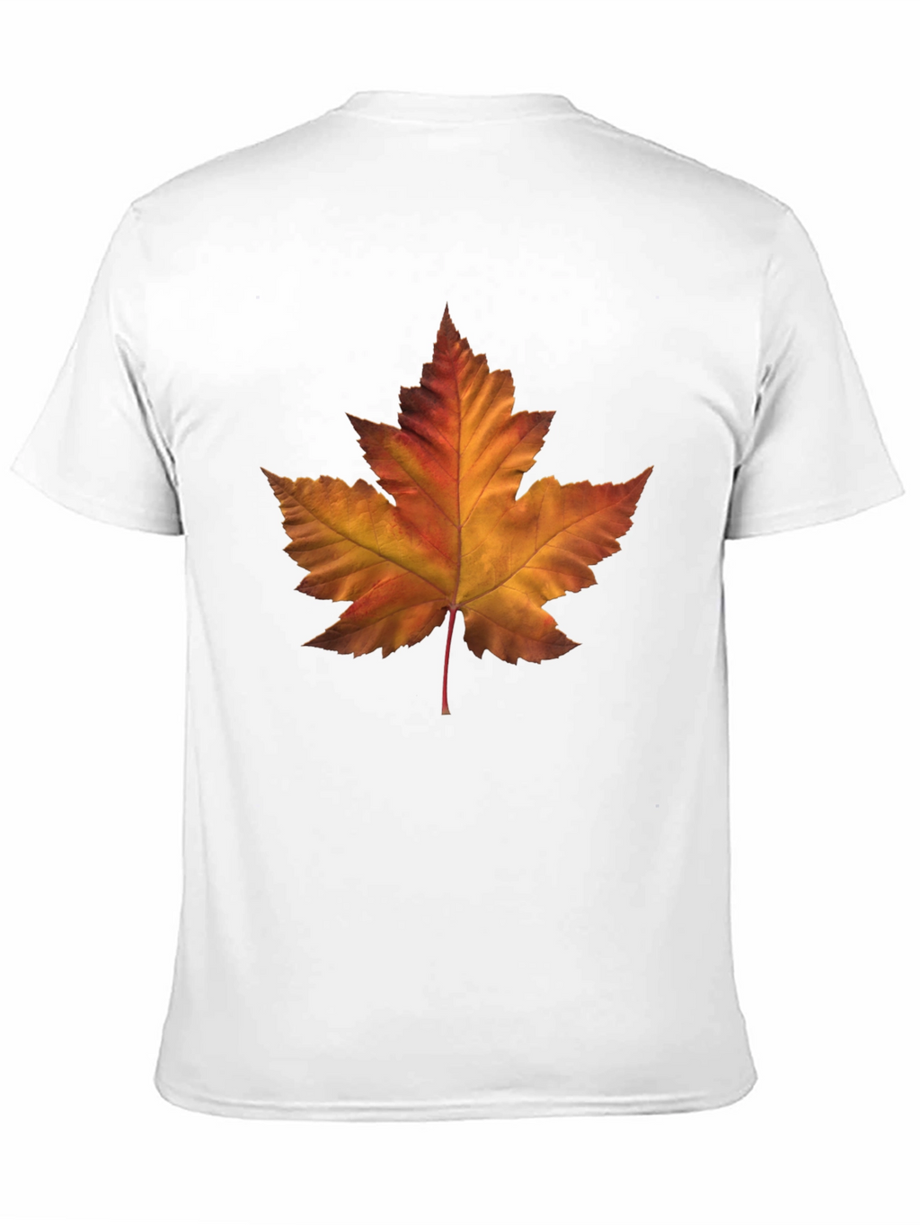Autumn Maple Leaf Graphic T-Shirt - Stylish Fall Fashion