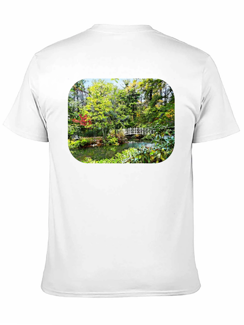 Nature Bridge Black T-Shirt