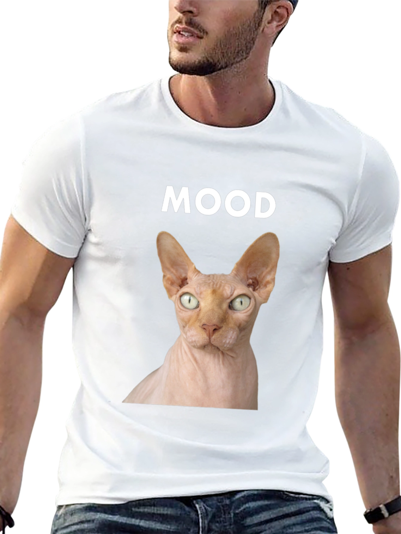 Mood Sphynx Cat Graphic Tee - Black Unisex T-Shirt