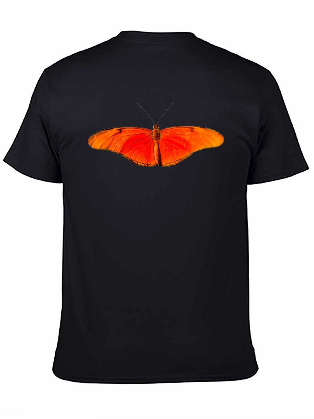 Butterfly Graphic T-Shirt