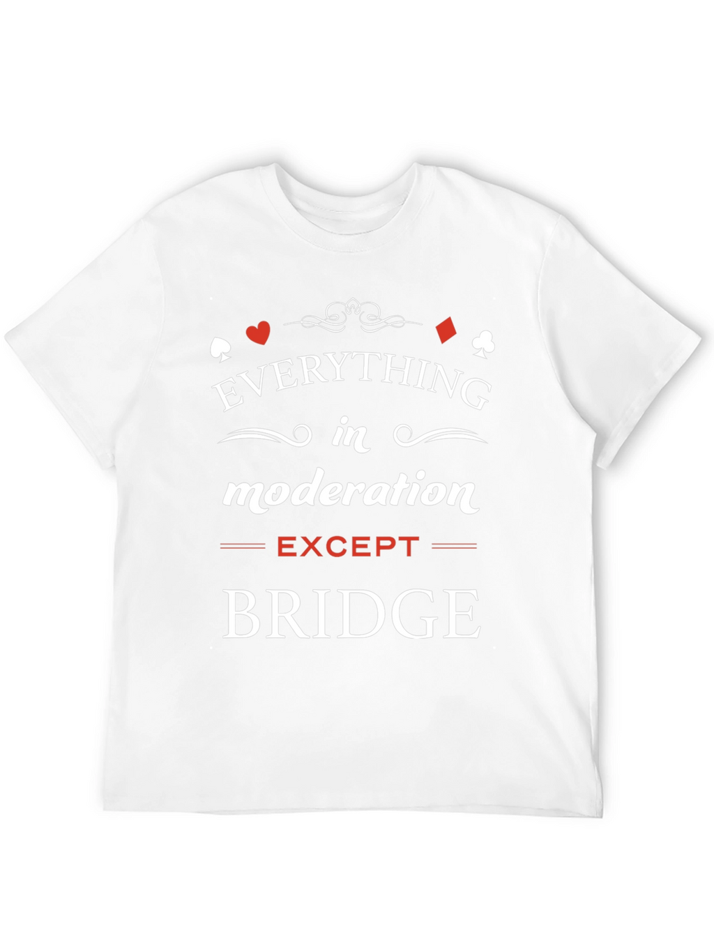 Everything in Moderation Except Bridge T-Shirt