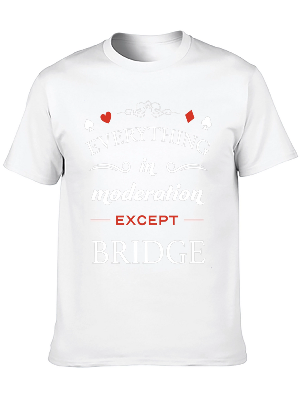 Everything in Moderation Except Bridge T-Shirt