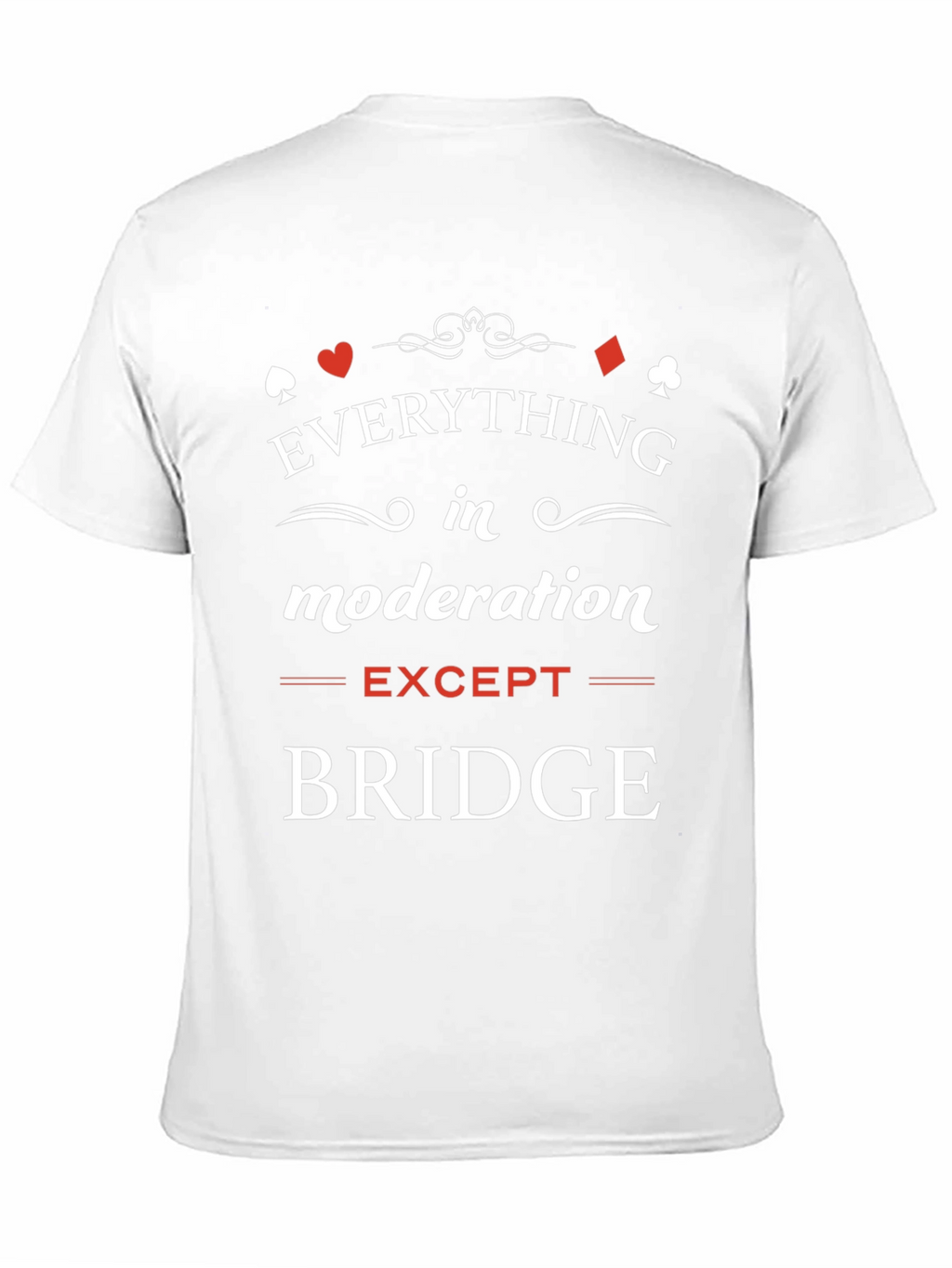 Everything in Moderation Except Bridge T-Shirt