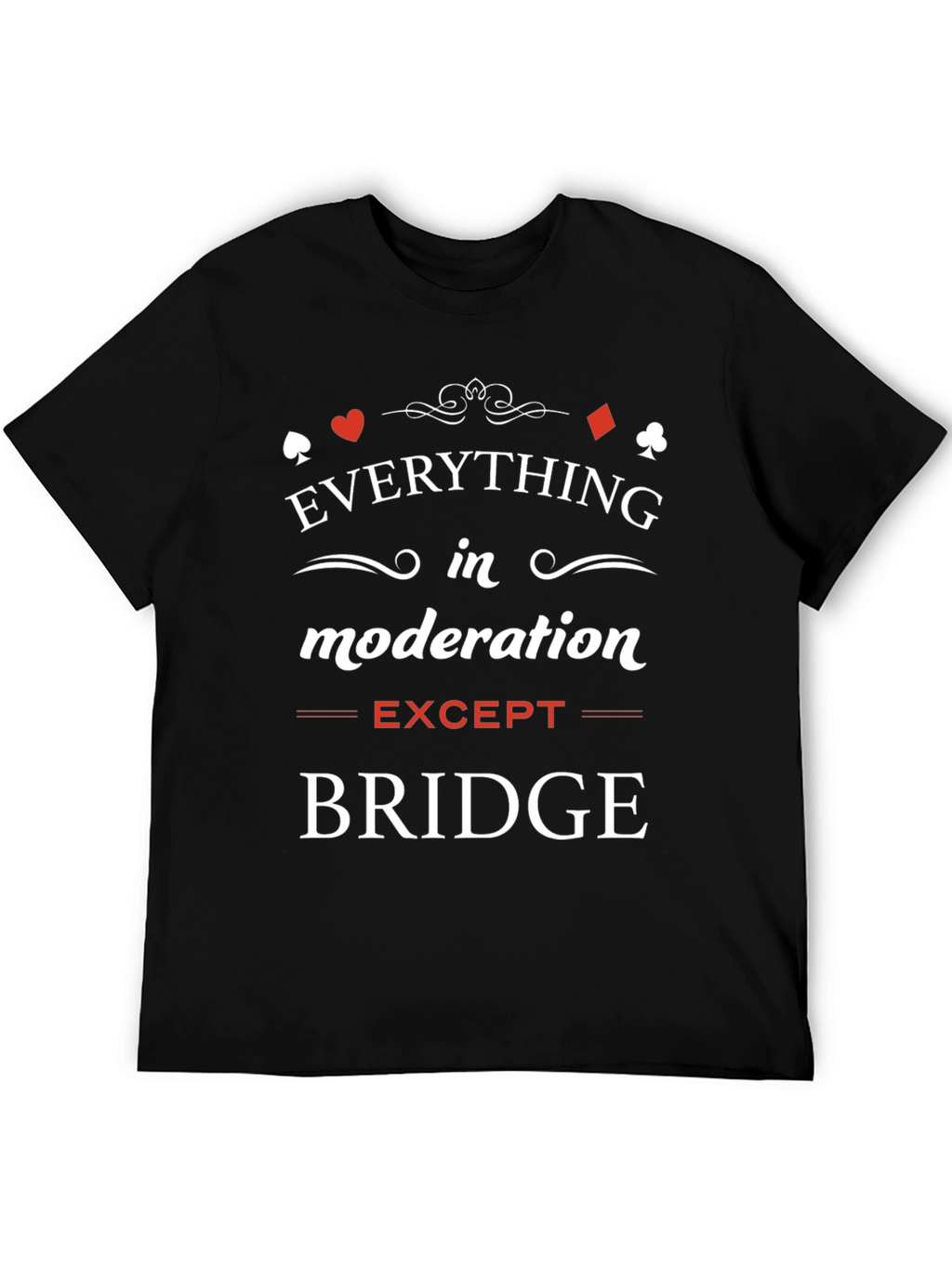 Everything in Moderation Except Bridge T-Shirt