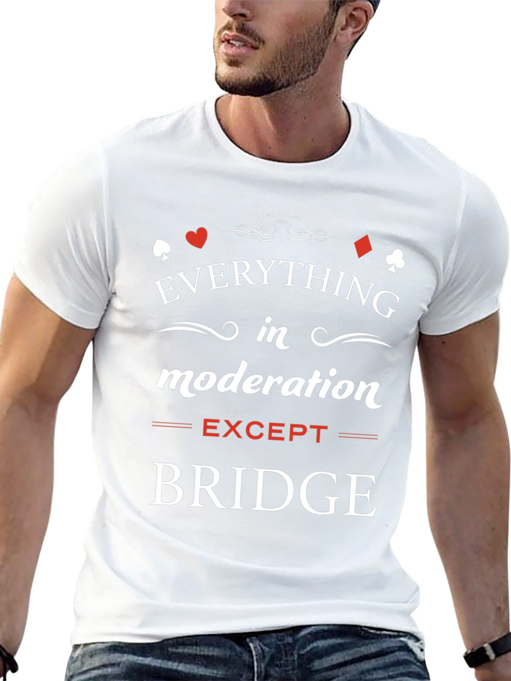 Everything in Moderation Except Bridge T-Shirt
