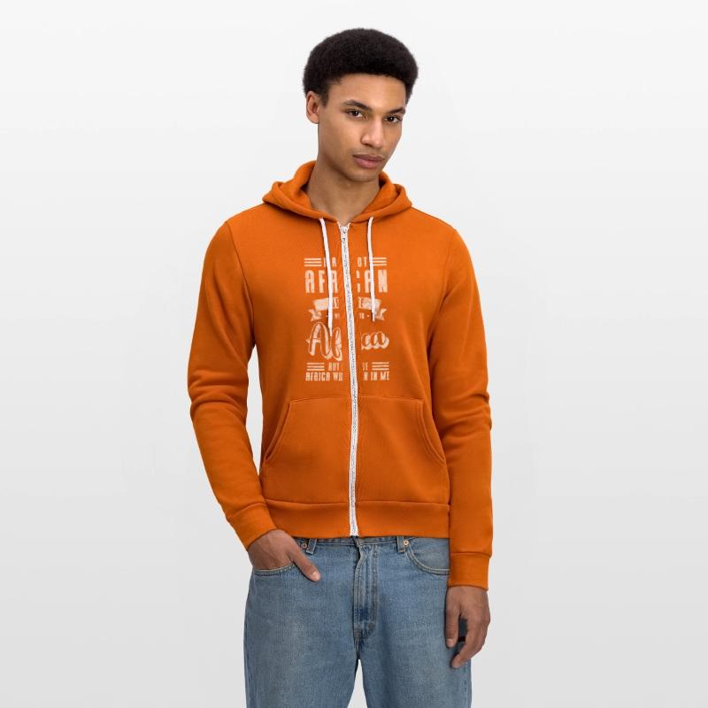 Safari Wilderness Nature Conservation Elephant