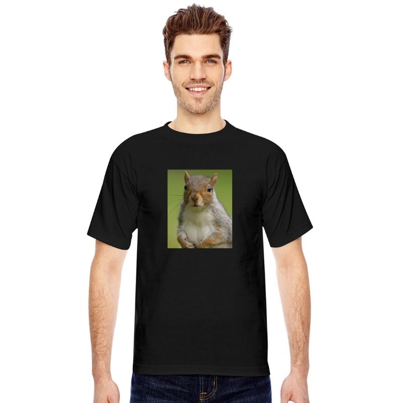 Squirrel Photo Chipmunk Animal Lover Wildlife Pun