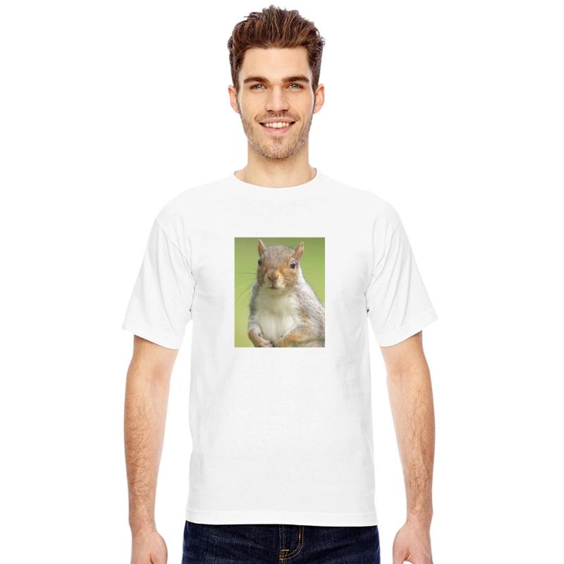 Squirrel Photo Chipmunk Animal Lover Wildlife Pun
