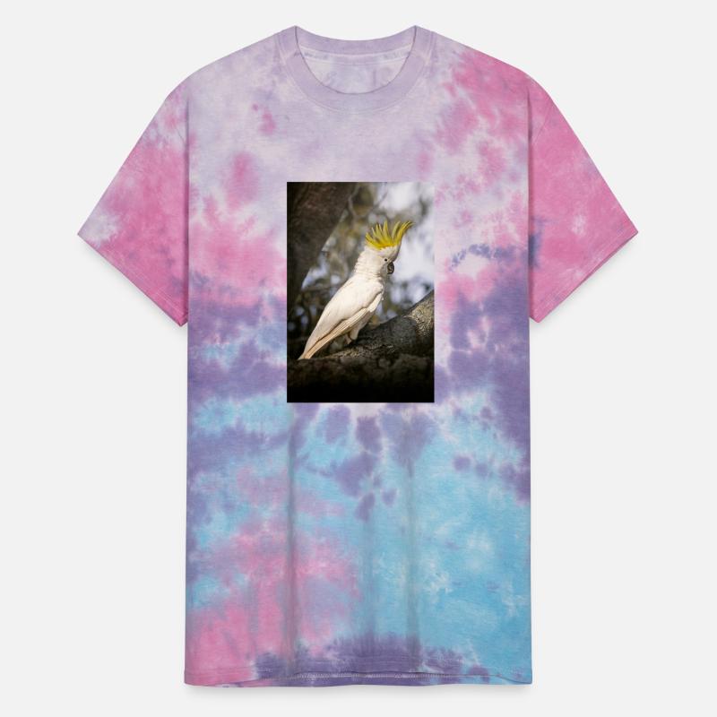 Sulphur-crested cockatoo