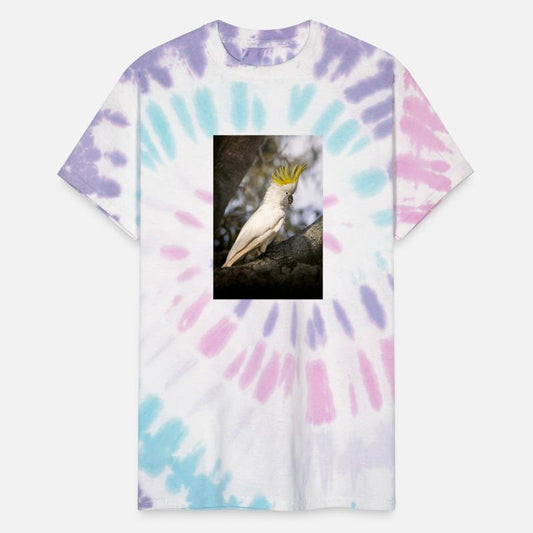 Sulphur-crested cockatoo