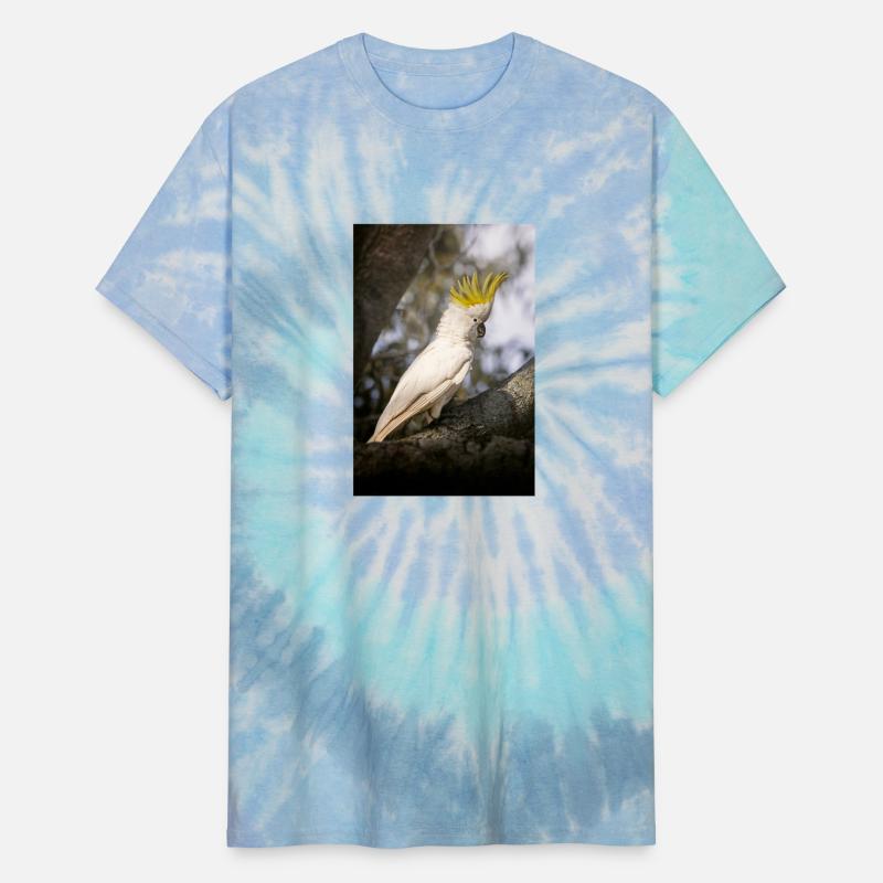 Sulphur-crested cockatoo