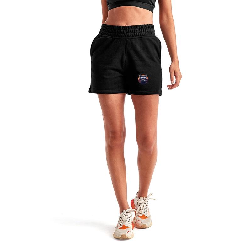 Sunset Raccoon with Sunglasses