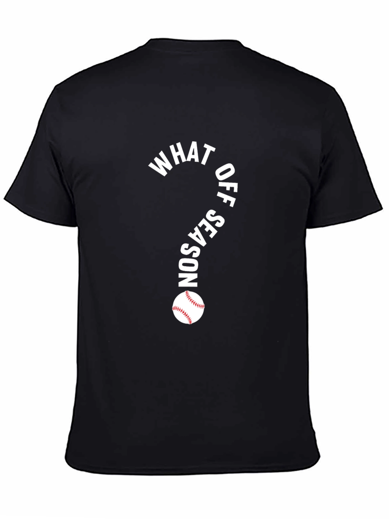 What Off Season Baseball T-Shirt