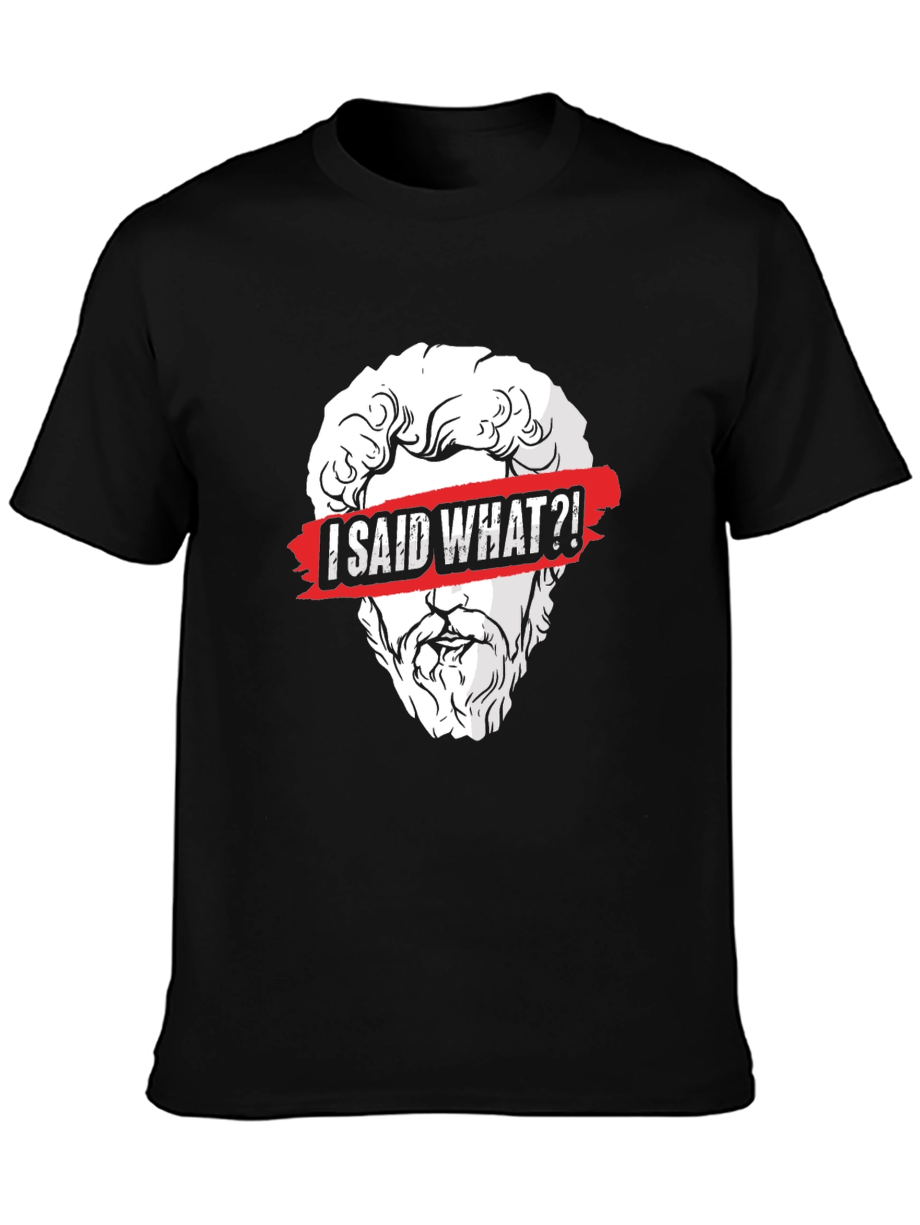I Said What?! Graphic Tee - Classic Humor
