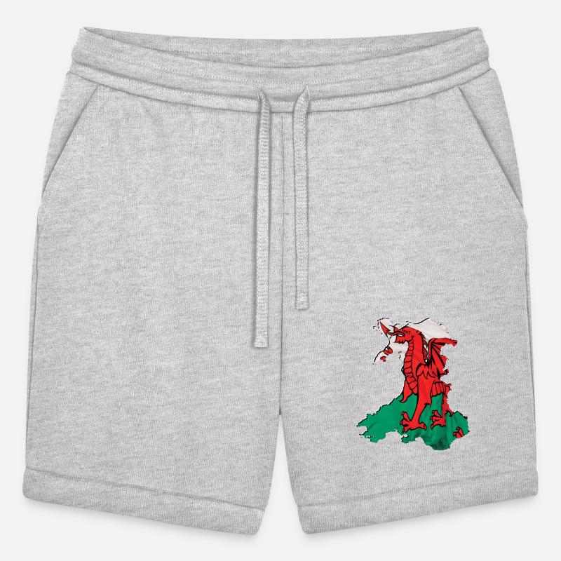 Wales Flag in Wales Map