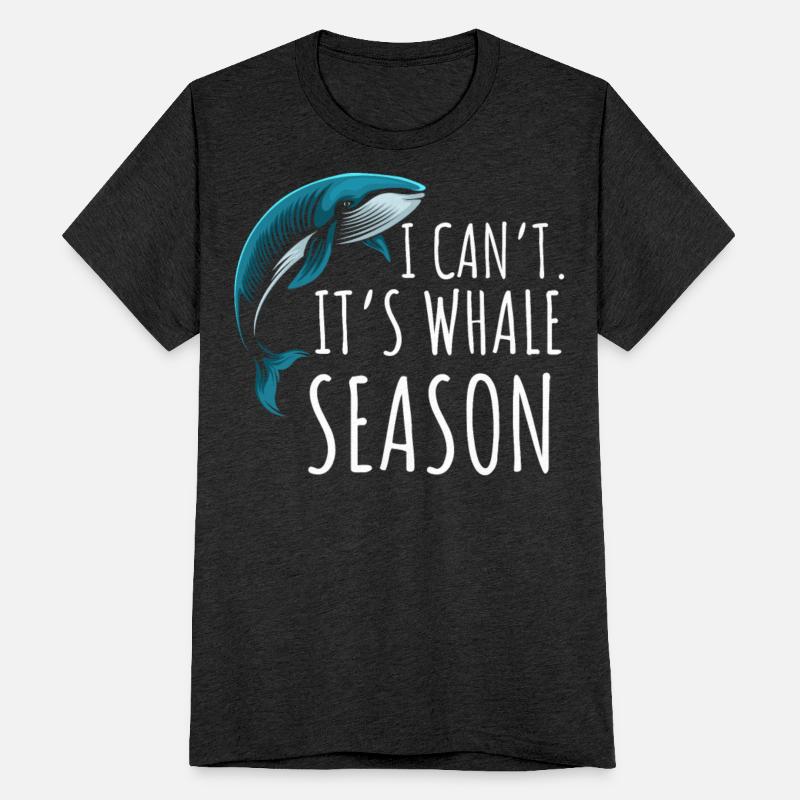 Whale Watching, marine biology, marine science