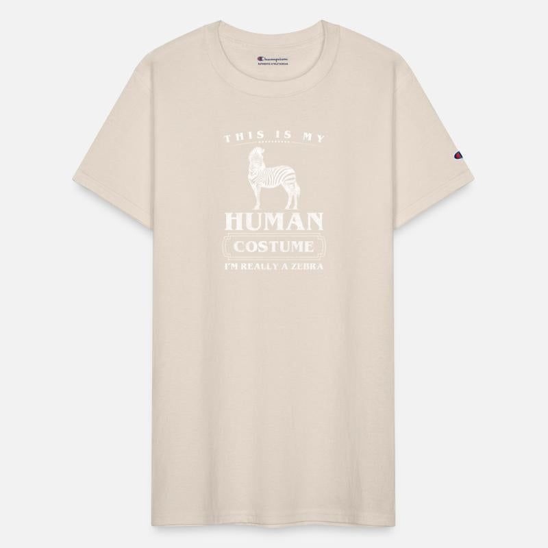 Zebra Safari Wildlife