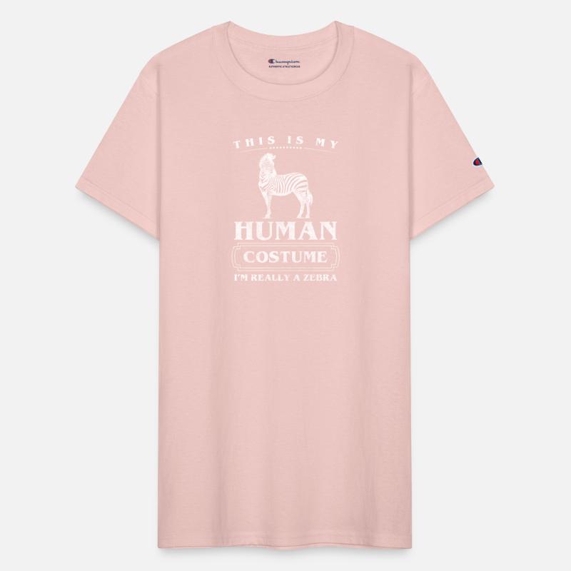 Zebra Safari Wildlife