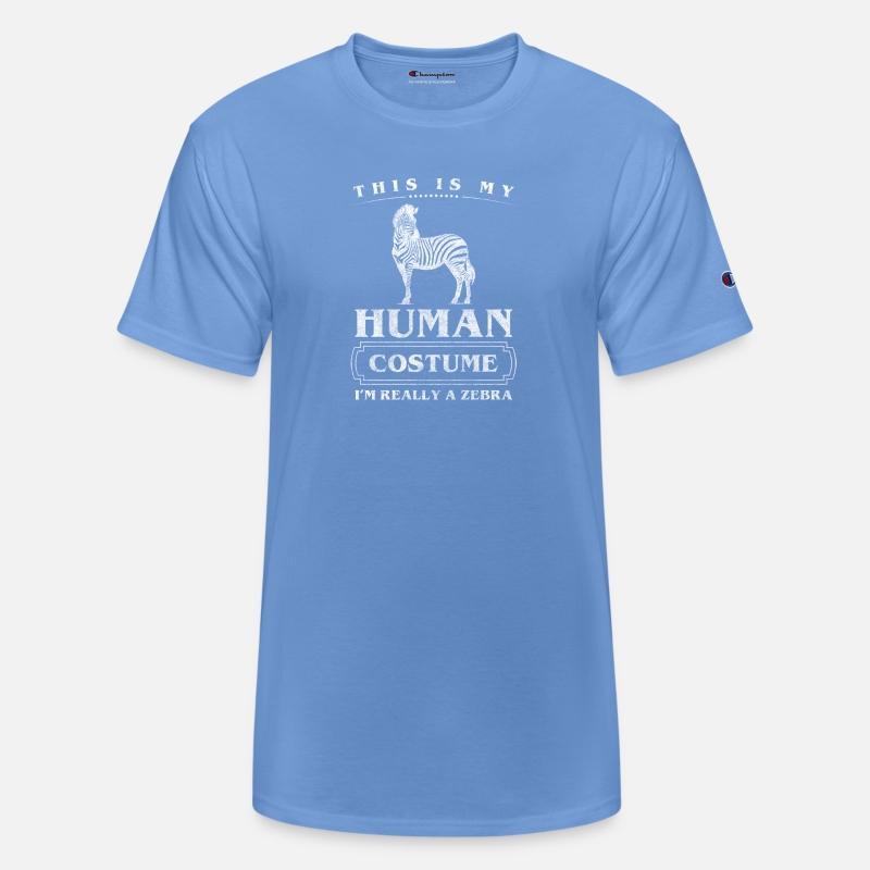 Zebra Safari Wildlife